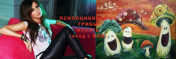 прущая мука Осинники