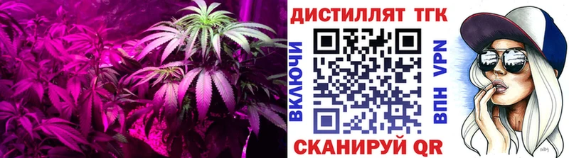 ТГК концентрат  МЕГА онион  Кизел 